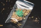 cannabis quality