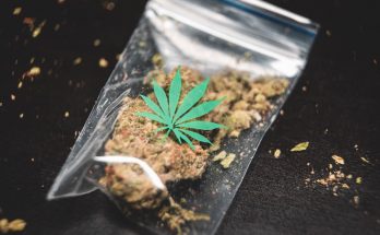 cannabis quality