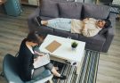 NEET UG 2026 counselling