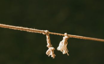 open-source Strands Box